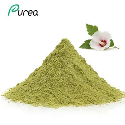 हिबिस्कस पत्ती पाउडर