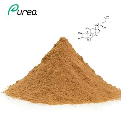 तुर्केस्टेरोन पाउडर